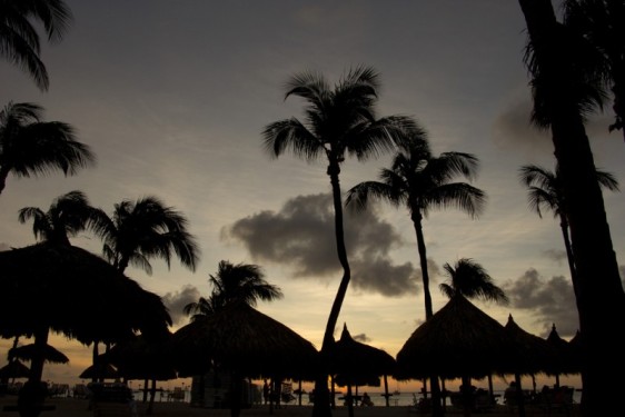 Sunset palapa silhouettes at the Marriott on Palm Beach | Aruba
