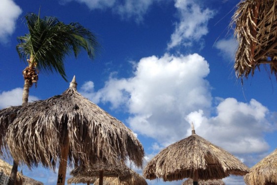 Tropical skyline at the Marriott | Aruba