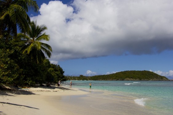 Hawksnest Bay | St John, USVI