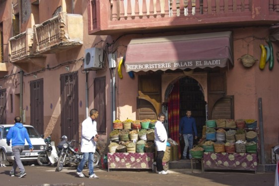 Herb shop near Badii Palace | Marrakech, Morocco_1