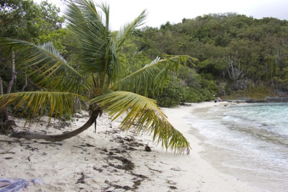 jumbie Bay | St John, USVI