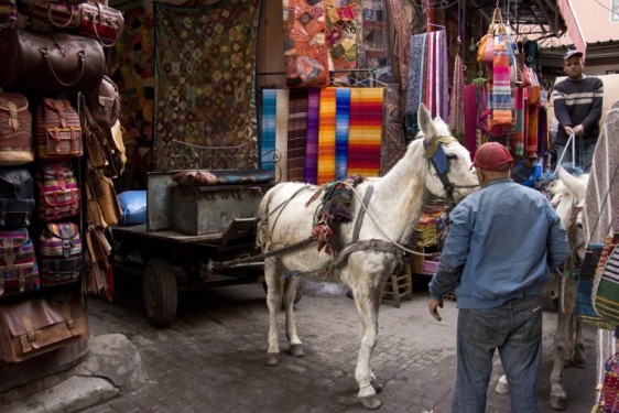 Medina traffic jam | Marrakech, Morocco