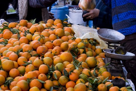 Oranges for sale | Marrakech, Morocco