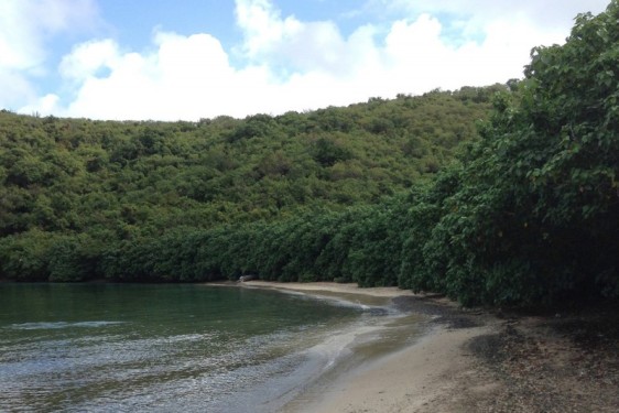 Waterlemon Bay beach | St John, USVI