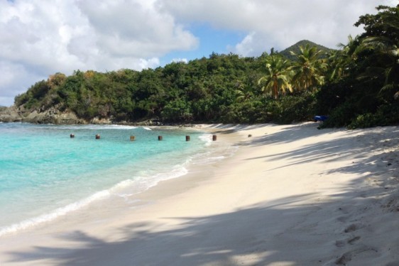 Denis Bay | St John, USVI