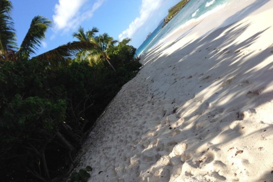 Deserted Denis Bay | St John, USVI