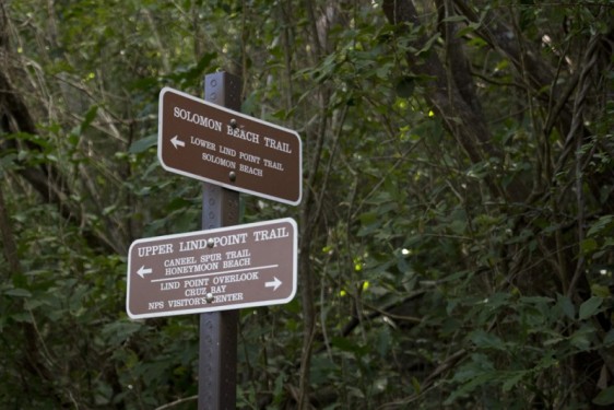 Lind Point Solomon Beach hiking trail | St John, USVI