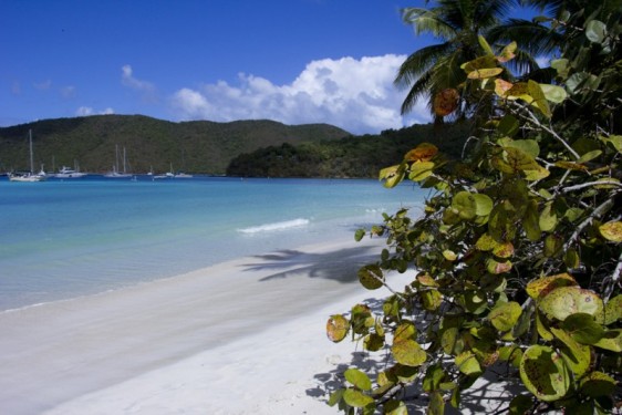 maho-bay-views-st-john-usvi