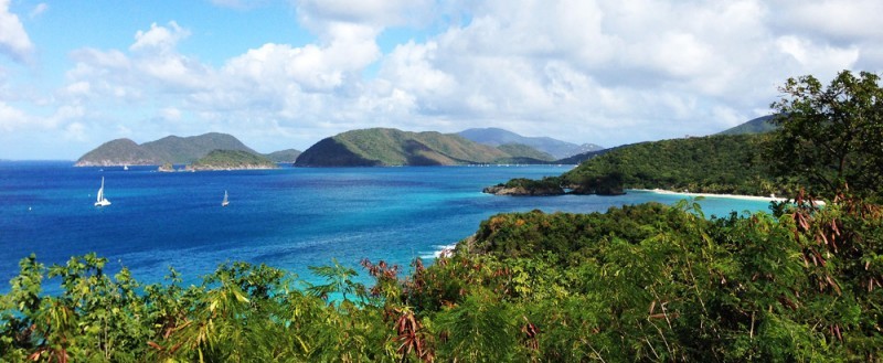 View of Trunk Bay from Peace Hill | St John, USVI