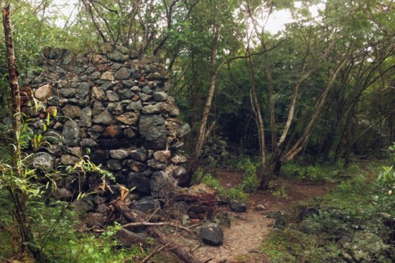 Waterlemon Bay hiking trail | St John, USVI