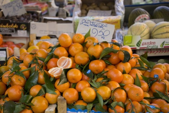 Clementines at Campo de Fiori market | Rome, Italy