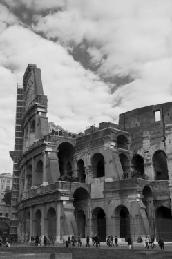 Levels and layers of the Colosseum | Rome, Italy