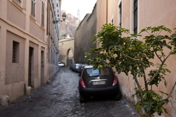 Quiet early morning side street in Trastevere | Rome, Italy