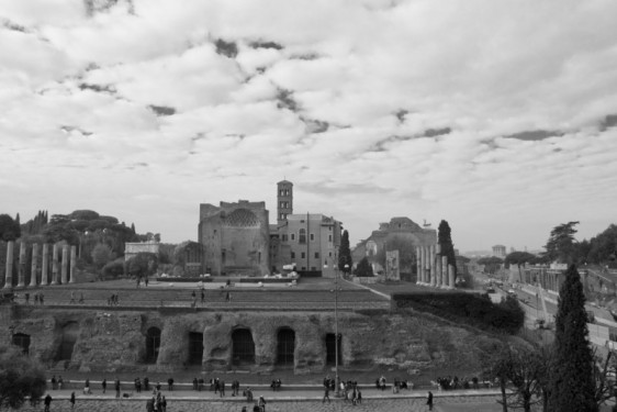 View from the Colosseum of the Temple of Venus | Rome, Italy