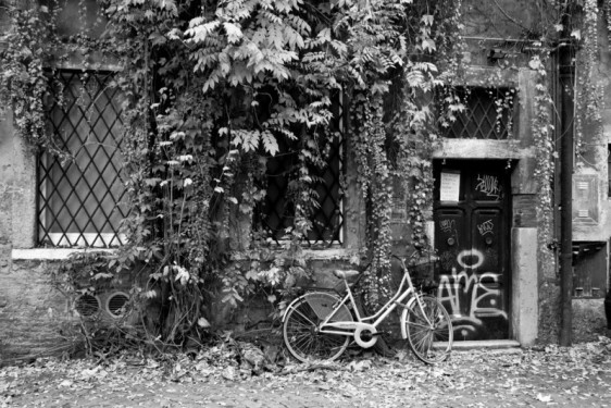 Autumn leaves and a bicycle in Trastevere | Rome, Italybicycle-autumn-leaves-tratevere-rome-italy