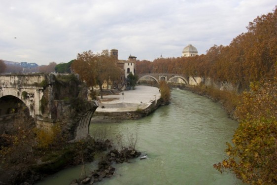Tiber River with fall leaves | Rome, Italy