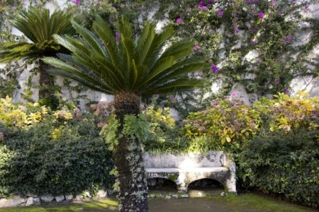 Hidden bench in the gardens at Villa Rufolo | Ravello, Italy