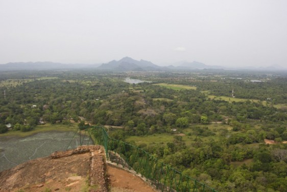 View from the tip | Sigiriya, Sri Lanka