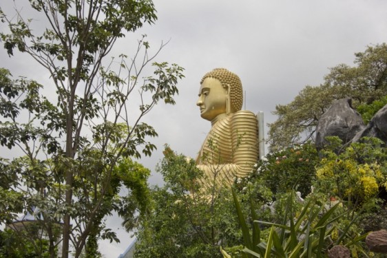 Buddha through the trees at the Golden Temple | Dambulla, Sri Lanka