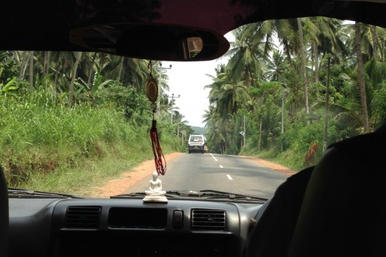 Driviing through the palm trees | Sri Lanka