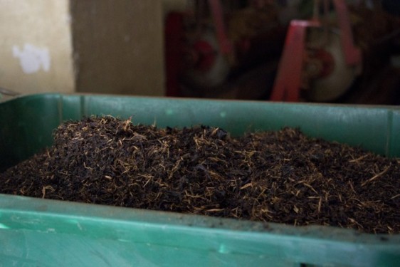 Tea bin at the Geragama Tea Estate | Kandy, Sri Lanka