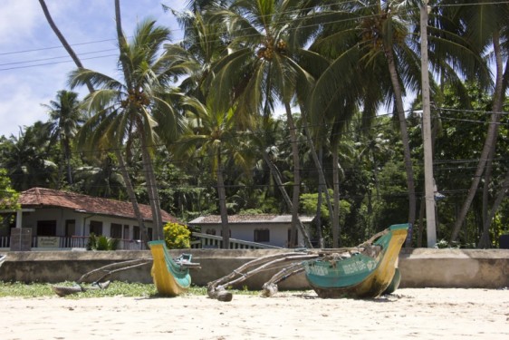 Boats by the beach | Unawatuna, Sri Lanka