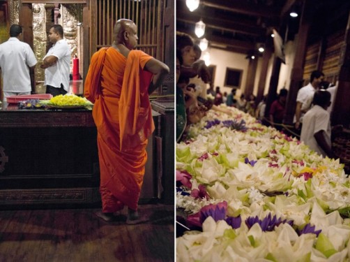 Buddhist monk and flower offerings | Temple of the Tooth, Sri Lanka
