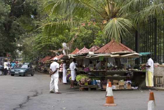 Flower stands outside the Temple of the Tooth | Kandy, Sri Lanka