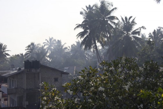 Late afternoon trash fire smoke | Unawatuna, Sri Lanka