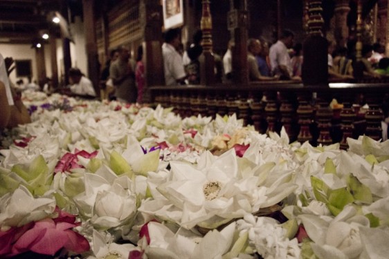 Offerings for the puja at the Temple of the Tooth | Kandy, Sri Lanka
