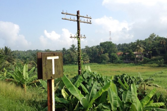 T sign | Sri Lanka