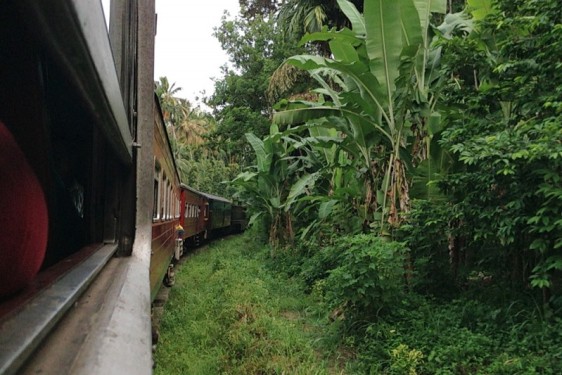Train from Kandy to Colombo - a banana tree view | Sri Lanka