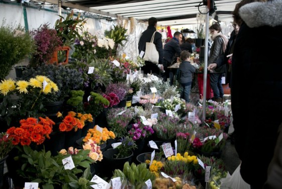 Flower stand at Bastille Market | Paris, France