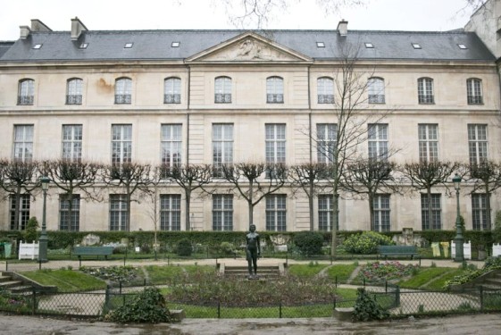 Green in the rain in the Marais | Paris, France