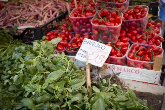 Basil and tomatoes at the Rialto market | Venice, Italy
