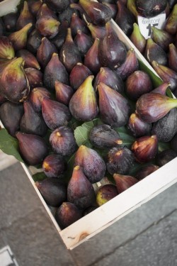 Black figs | Venice, Italy