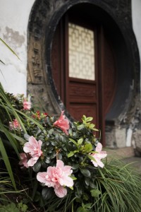 Flowers & circle doorway at Yu Garden | Shanghai, China