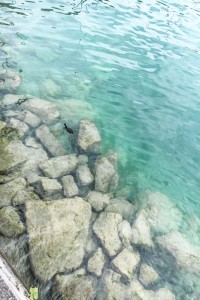 Rocks in the water | Lake Zurich, Switzerland