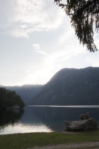 Afternoon reflection on a misty Lake Bohinj | Slovenia