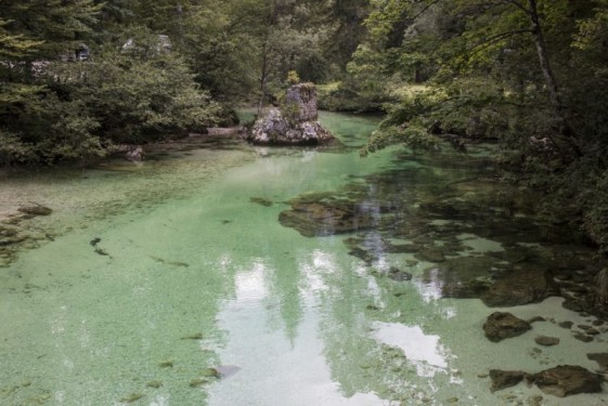 Clear green streams | Bohinj, Slovenia