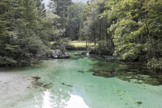 Green water | Bohinj, Slovenia