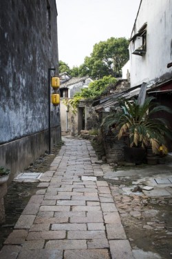 Side alley | Tongli, China