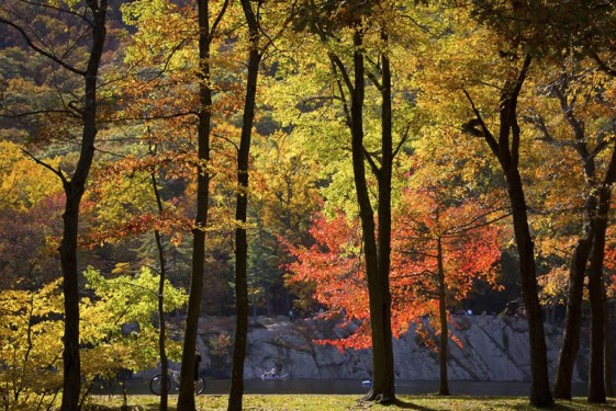 autumn-colors-bear-mountain-new-york