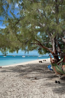 chat-n-chill-beach-stocking-island-exuma-bahamas