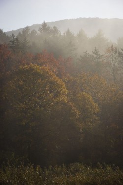 morning-fog-autumn-colors-new-york