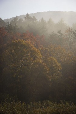 morning-fog-autumn-colors-new-york