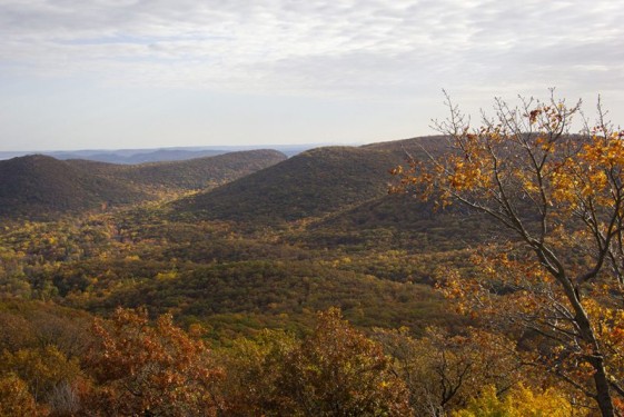 orange-hills-autumn-new-york