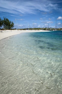 stocking-island-blues-exuma-bahamas