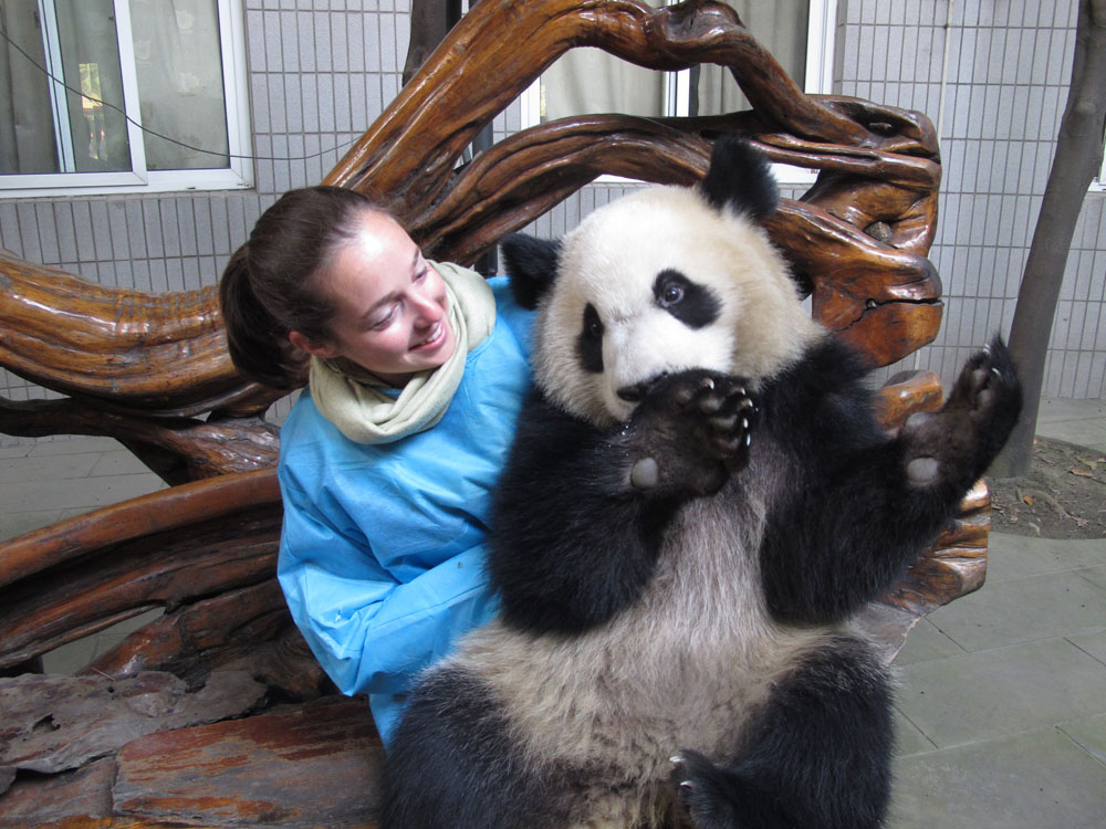 Annie with a panda on the lap at the panda reserve in Chengdu China