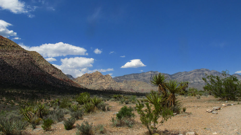 View of Red Rock Canyon, Nevada